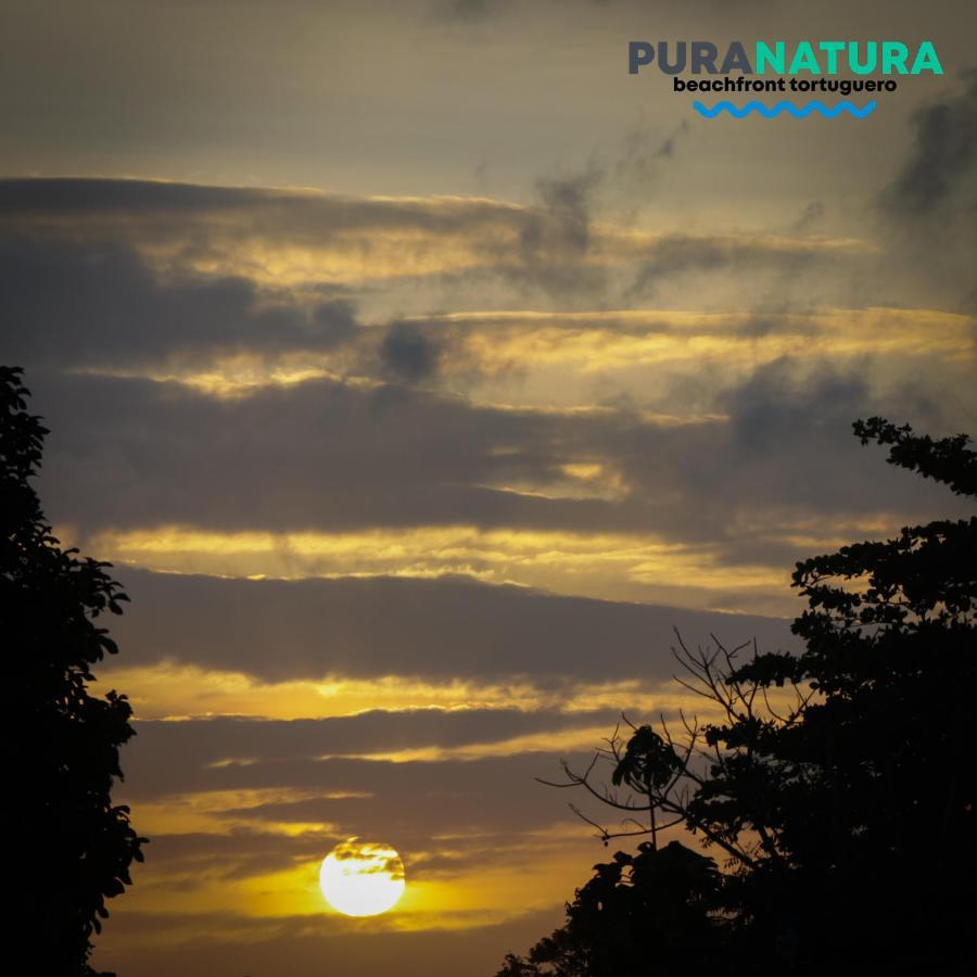 Hotel Pura Natura Beachfront Tortuguero Eksteriør bilde