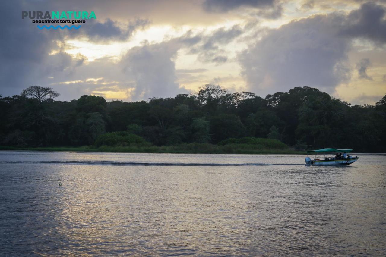 Hotel Pura Natura Beachfront Tortuguero Eksteriør bilde
