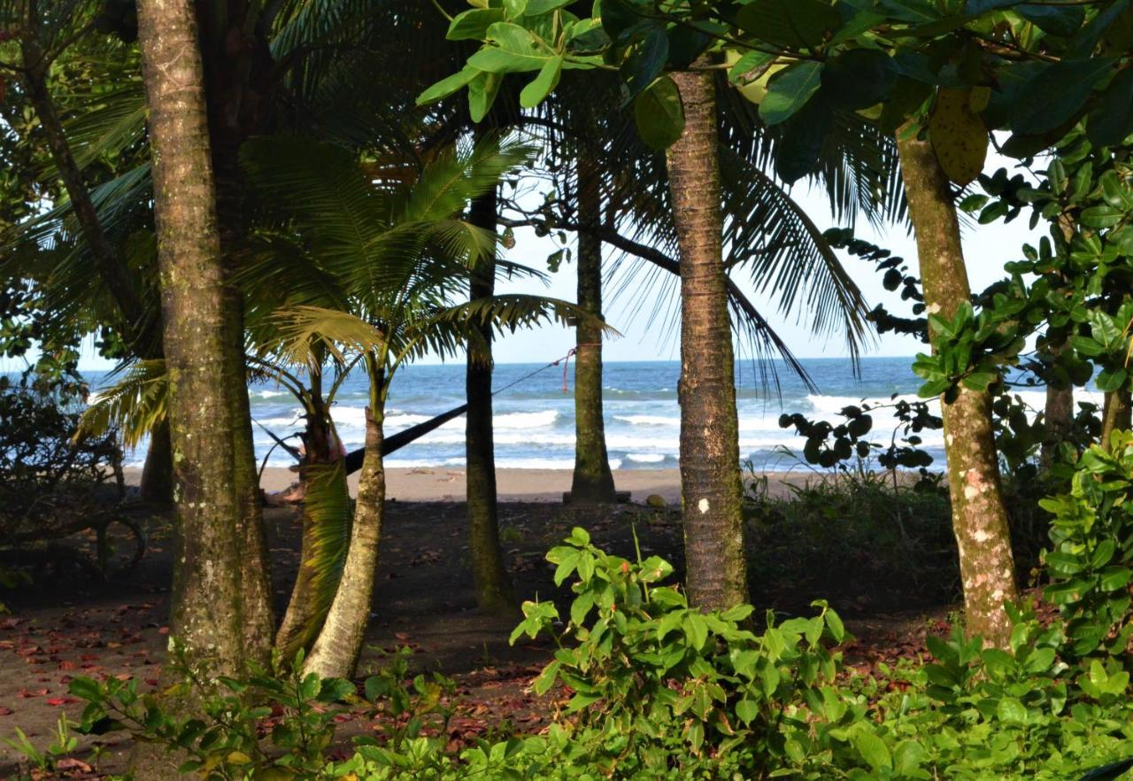 Hotel Pura Natura Beachfront Tortuguero Eksteriør bilde