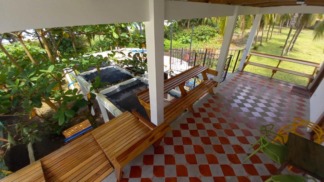 Hotel Pura Natura Beachfront Tortuguero Eksteriør bilde