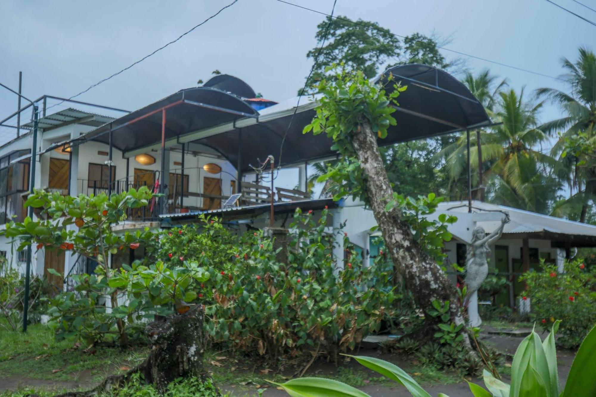 Hotel Pura Natura Beachfront Tortuguero Eksteriør bilde