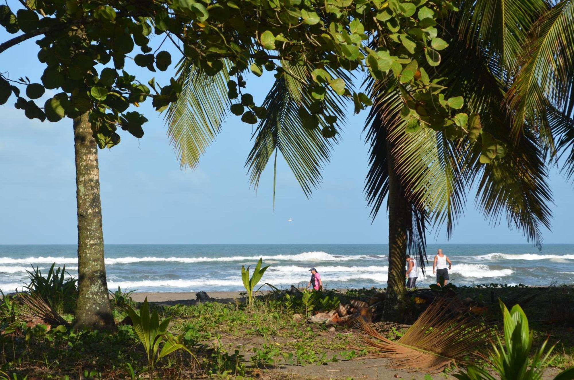 Hotel Pura Natura Beachfront Tortuguero Eksteriør bilde